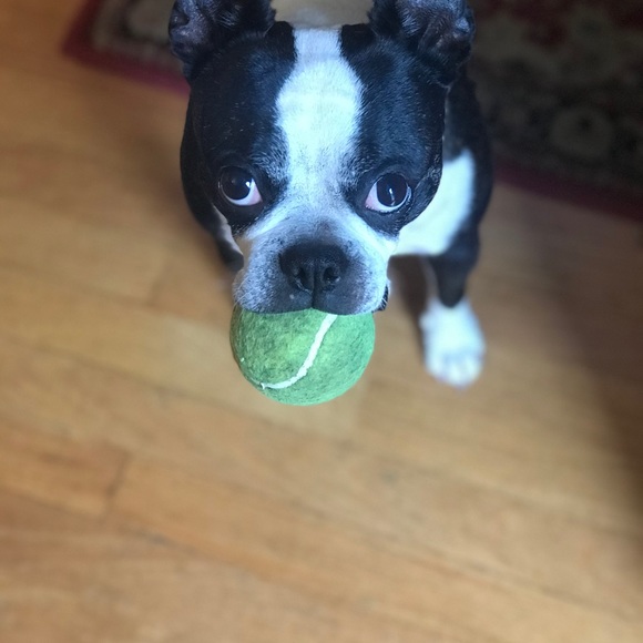 Meet your Posher, Lori - Picture 11 of 16